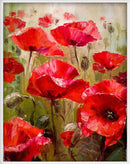 Diamond Dot DIY Paintings-Full Round 12x16- 13 Flower Designs(615)