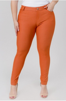 Full Length Jegging-2 Colors(157)