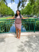 Leopard T-shirt Dress