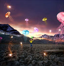 Diamond Dot DIY Paintings-Full Round 12x12- 7 Designs(606)