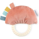 Itzy Ritzy Rattle Pal- Rainbow