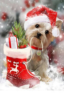 Diamond Dot DIY Paintings-Full Round 12x16- 11 Designs(612)